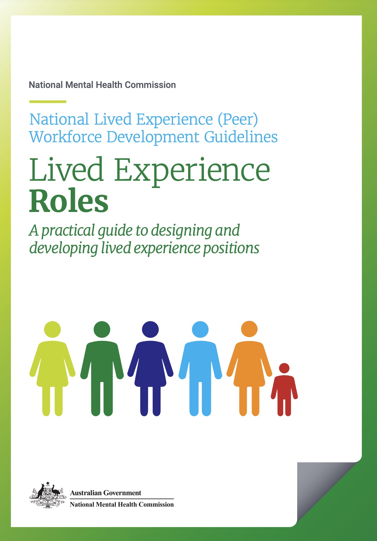 National Lived Experience (Peer) Workforce Development Guidelines, Lived Experience Roles
