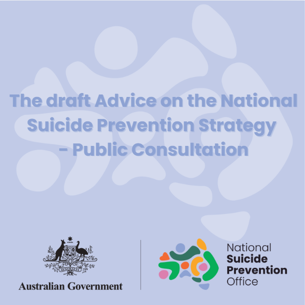 The draft Advice on the National Suicide Prevention Strategy