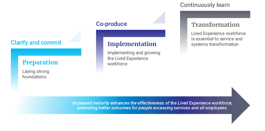 Stages of development for an embedded Lived Experience workforce