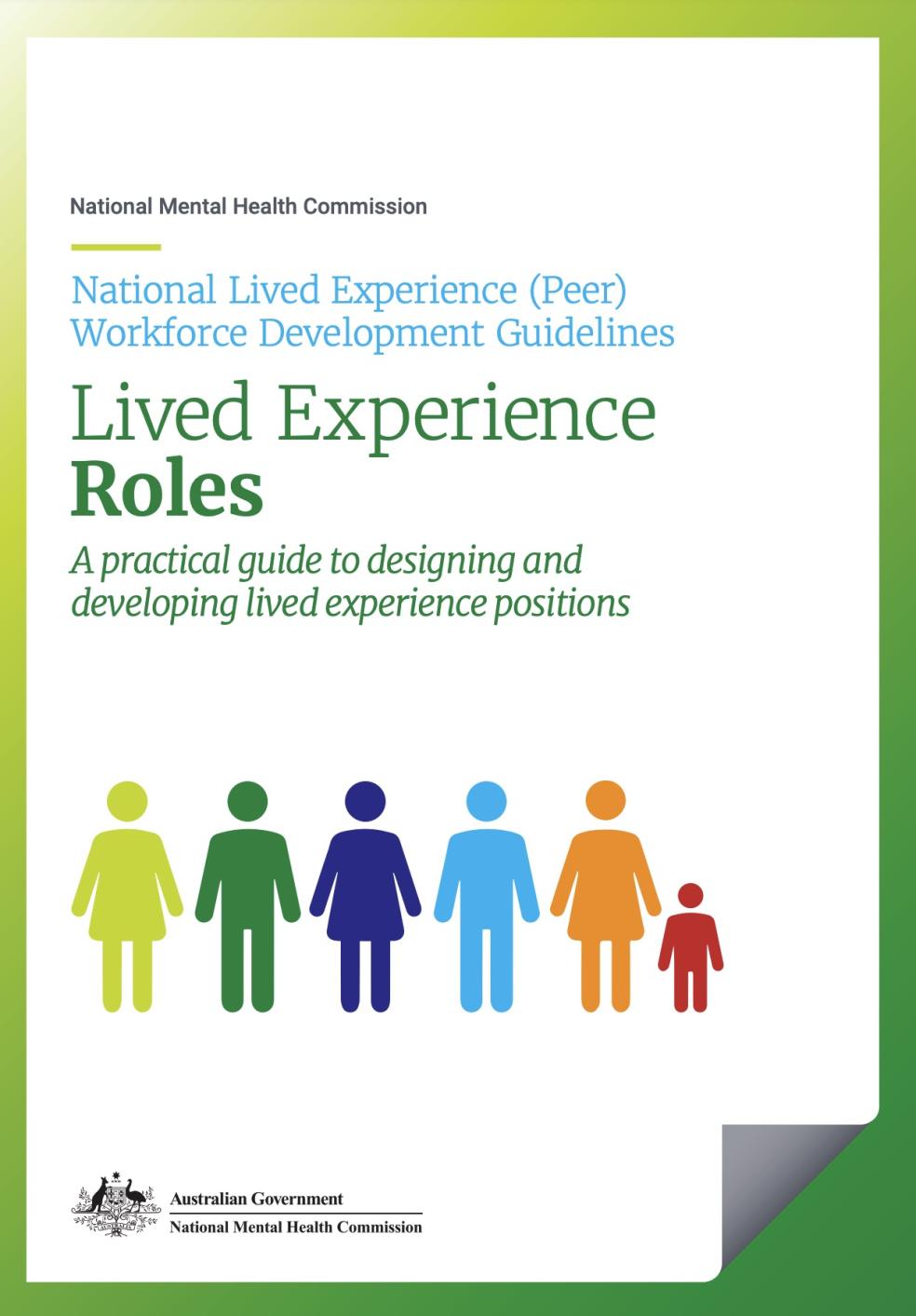 National Lived Experience (Peer) Workforce Development Guidelines, Lived Experience Roles