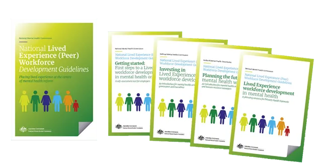 Lived Experience (Peer) workforce guidelines