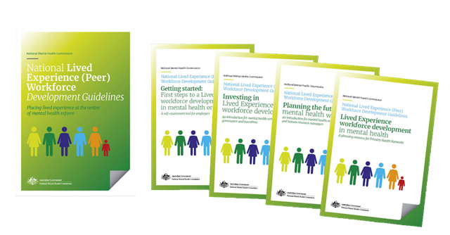 Lived Experience (Peer) workforce guidelines