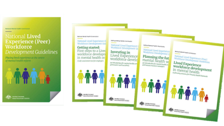Lived Experience (Peer) workforce guidelines
